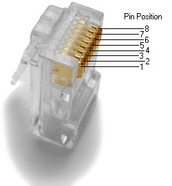 Cat5Pinout.jpg